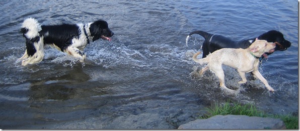 Samspon Mac and Stella 2