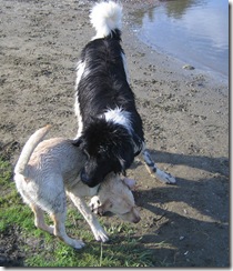 samspon and mac 3