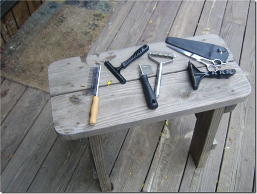 sampson grooming woods 001