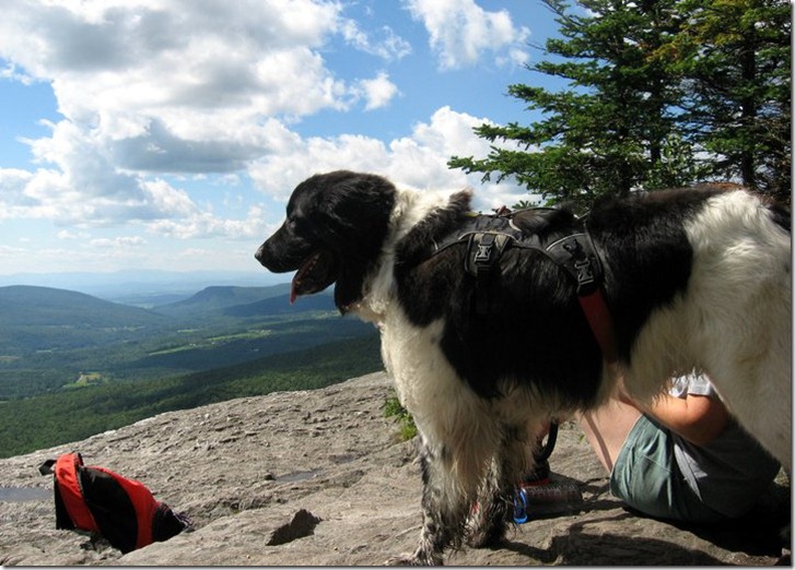 sampson hiking with bonnie July 2010