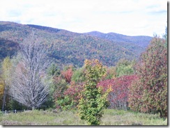 fall pics 003