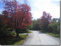 fall pics 005
